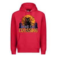 Cardinal Black Cat Crossing Premium Hoodie - texasbilliewilder