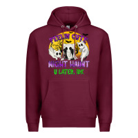 Burgundy Feeling Cute Might Haunt U Later Premium Hoodie - texasbilliewilder