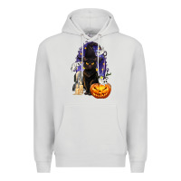 Dove Grey Halloween Cat and Pumpkin Premium Hoodie - texasbilliewilder
