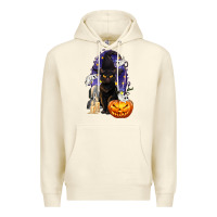 Sandshell Halloween Cat and Pumpkin Premium Hoodie - texasbilliewilder