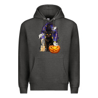 Charcoal Heather Halloween Cat and Pumpkin Premium Hoodie - texasbilliewilder