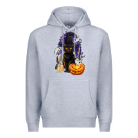 Heather Grey Halloween Cat and Pumpkin Premium Hoodie - texasbilliewilder