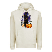 Oatmeal Heather Halloween Cat and Pumpkin Premium Hoodie - texasbilliewilder