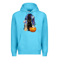 Ocean Blue Halloween Cat and Pumpkin Premium Hoodie - texasbilliewilder