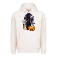 Halloween Cat And Pumpkin Premium Hoodie | Teevron