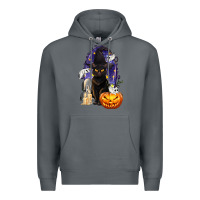 Rock Halloween Cat and Pumpkin Premium Hoodie - texasbilliewilder