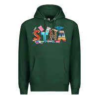 Sports Green stna Premium Hoodie - Zillion Design Studio
