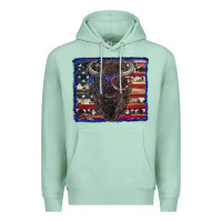 Seafoam bison with american flag and glasses Premium Hoodie - RanaPortraitStore