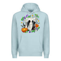 Blue Mist My Cat Is My Boo Premium Hoodie - texasbilliewilder