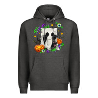 Charcoal Heather My Cat Is My Boo Premium Hoodie - texasbilliewilder