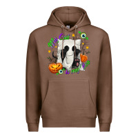 Chestnut My Cat Is My Boo Premium Hoodie - texasbilliewilder