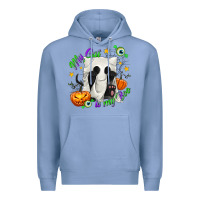 Colony Blue My Cat Is My Boo Premium Hoodie - texasbilliewilder
