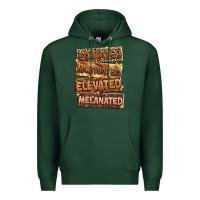 Sports Green educated motivated elevated melanated Premium Hoodie - Zillion Design Studio