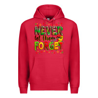 Cardinal never let them forget Premium Hoodie - Zillion Design Studio