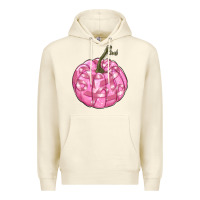 Sandshell pink pumpkin with breast cancer ribbons Premium Hoodie - RanaPortraitStore
