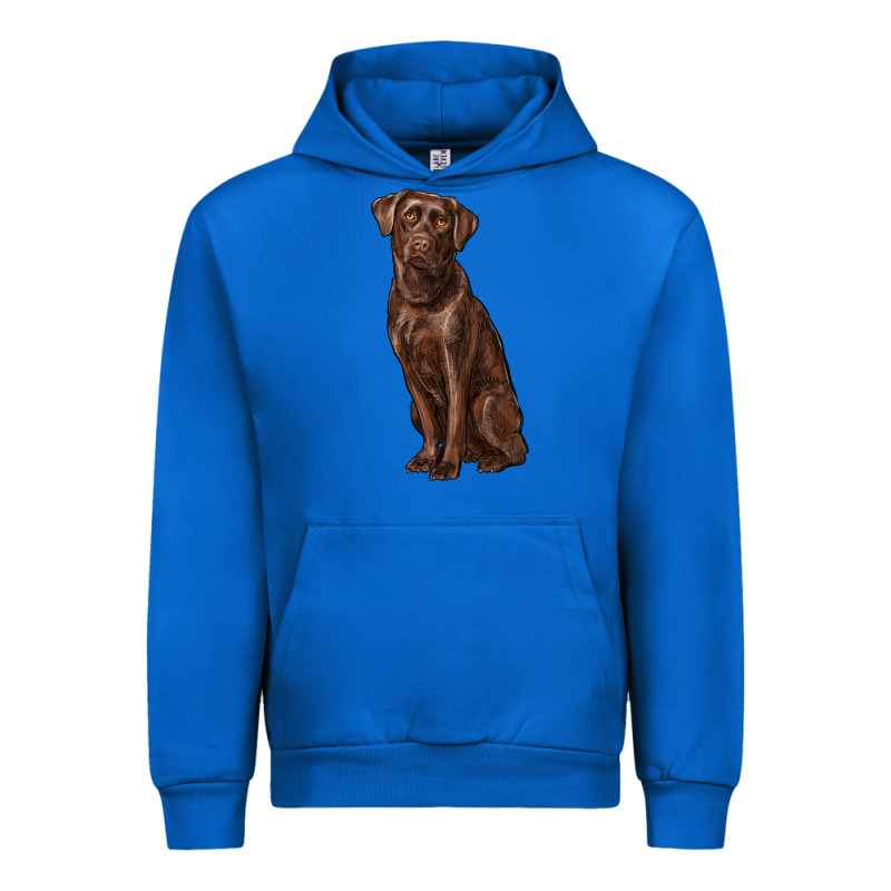 Labrador Retriever Urban Hoodie by RanaPortraitStore | Teevron