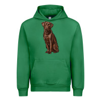 Emerald labrador retriever Urban Hoodie - RanaPortraitStore