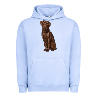 Pigment Grape Ice labrador retriever Urban Hoodie - RanaPortraitStore