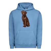 Pigment Pebble Blue labrador retriever Urban Hoodie - RanaPortraitStore