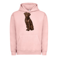 Pigment Salmon labrador retriever Urban Hoodie - RanaPortraitStore