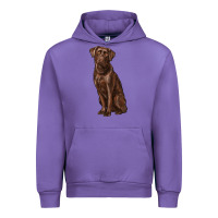 Tulip labrador retriever Urban Hoodie - RanaPortraitStore