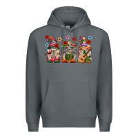 Rock Mexican Gnomes Premium Hoodie - texasbilliewilder