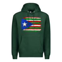 Sports Green Mexico and Puerto Rico Flag Premium Hoodie - texasbilliewilder