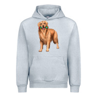 Heather Grey golden retriever with toys Urban Hoodie - texasbilliewilder