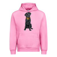 Fuchsia Pink labrador retriever with overflow Urban Hoodie - texasbilliewilder