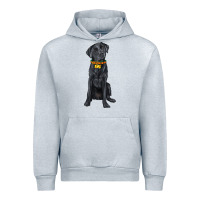 Heather Grey labrador retriever with overflow Urban Hoodie - texasbilliewilder