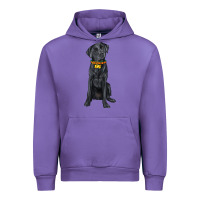 Tulip labrador retriever with overflow Urban Hoodie - texasbilliewilder