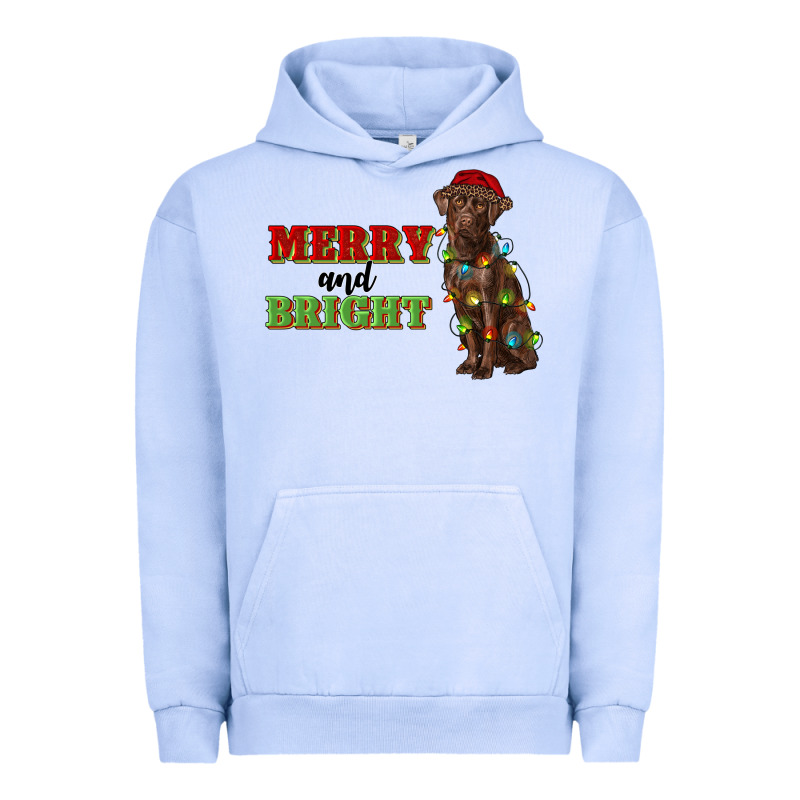 Merry And Bright Labrador Urban Hoodie by RanaPortraitStore | Teevron