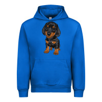Cobalt dachshund puppy Urban Hoodie - RanaPortraitStore