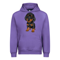 Tulip dachshund puppy Urban Hoodie - RanaPortraitStore