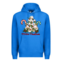 True Royal merry christmas baseball Premium Hoodie - RanaPortraitStore