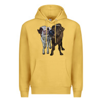 Antique Gold two heifer cows Premium Hoodie - RanaPortraitStore