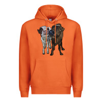 Carrot two heifer cows Premium Hoodie - RanaPortraitStore