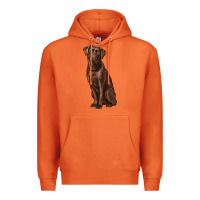 Carrot labrador retriever Premium Hoodie - RanaPortraitStore