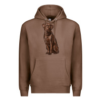 Chestnut labrador retriever Premium Hoodie - RanaPortraitStore