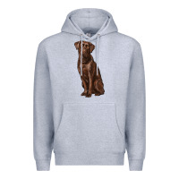 Heather Grey labrador retriever Premium Hoodie - RanaPortraitStore