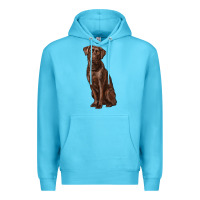 Ocean Blue labrador retriever Premium Hoodie - RanaPortraitStore