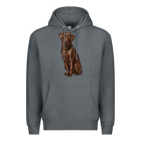 Rock labrador retriever Premium Hoodie - RanaPortraitStore