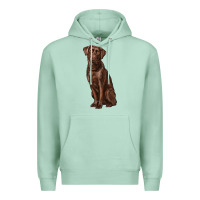 Seafoam labrador retriever Premium Hoodie - RanaPortraitStore
