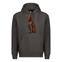 Smoke labrador retriever Premium Hoodie - RanaPortraitStore