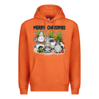 Carrot merry christmas gnomies Premium Hoodie - texasbilliewilder