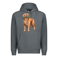 Rock golden retriever with toys Premium Hoodie - texasbilliewilder