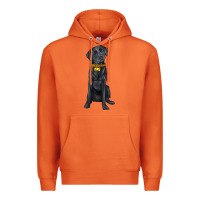 Carrot labrador retriever with overflow Premium Hoodie - texasbilliewilder