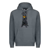 Rock labrador retriever with overflow Premium Hoodie - texasbilliewilder