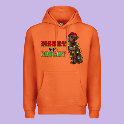 Merry And Bright Labrador Premium Hoodie Designed By Ranaportraitstore