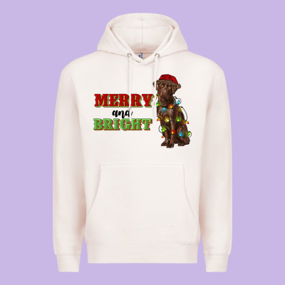 Merry And Bright Labrador Premium Hoodie Designed By Ranaportraitstore
